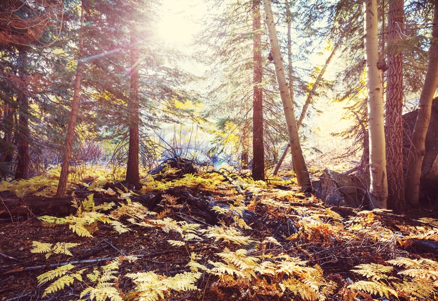 Fronalp im Herbst - Eventlokalität mieten