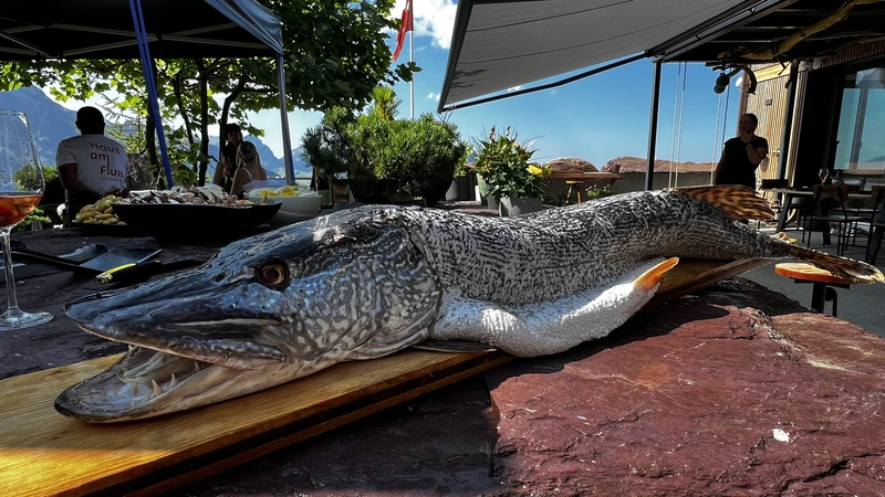 Frisch zubereiteter Fisch als Spezialität für Events, Apéros und Feiern in naturnaher Umgebung